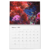 Key West Beauty van Scott S. Jones Kalender (Feb 2027)