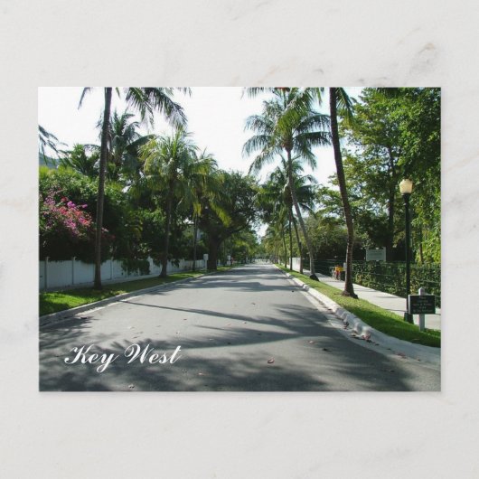 Key West Briefkaart (Voorkant)