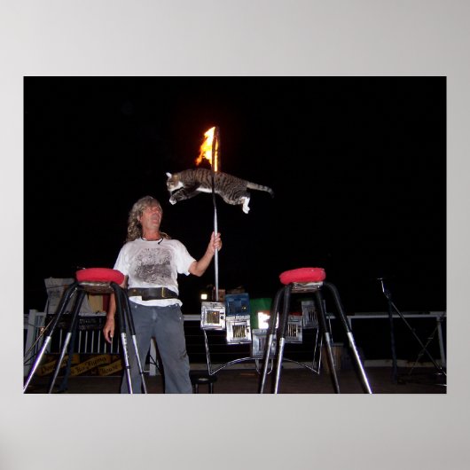 Key West Cat Man Poster (Voorkant)