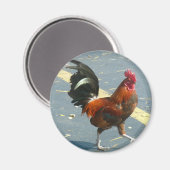 Key West Chicken Magneet (Voorkant / Achterkant)