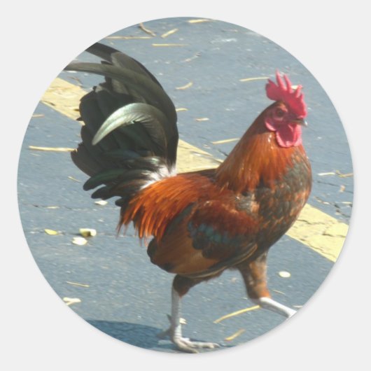 Key West Chicken Ronde Sticker (Voorkant)