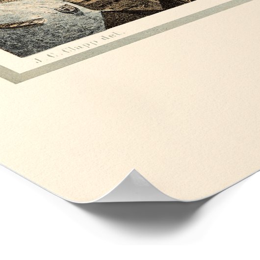 Key West FL Panoramic Map 1855 Poster (Hoek)