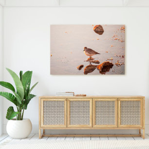 Key West Florida Bird op Sunset Canvas Afdruk