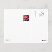 Key West Florida Briefkaart (Achterkant)