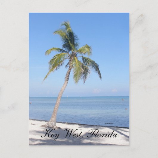 Key West, Florida Briefkaart (Voorkant)