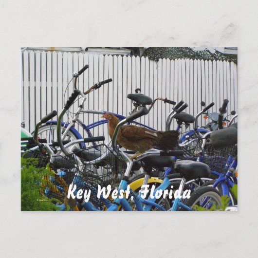 Key West, Florida Briefkaart (Voorkant)
