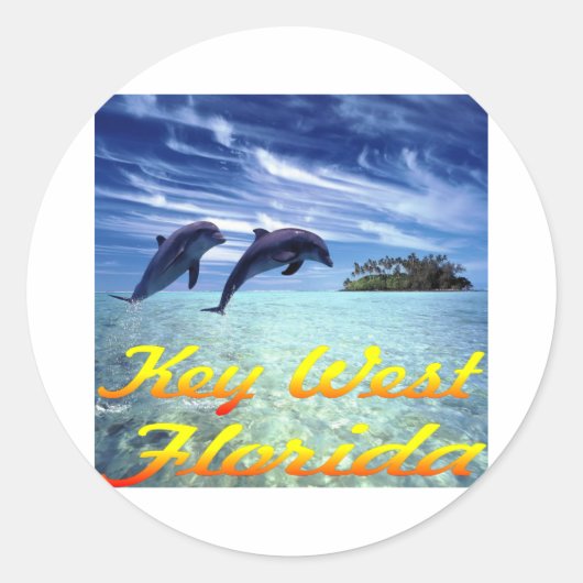 Key West Florida Dolphins Ronde Sticker (Voorkant)
