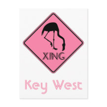 Key West Florida Flamingo Oversteek bord