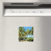 Key West, Florida Magneet (Insitu (Vaatwasser))