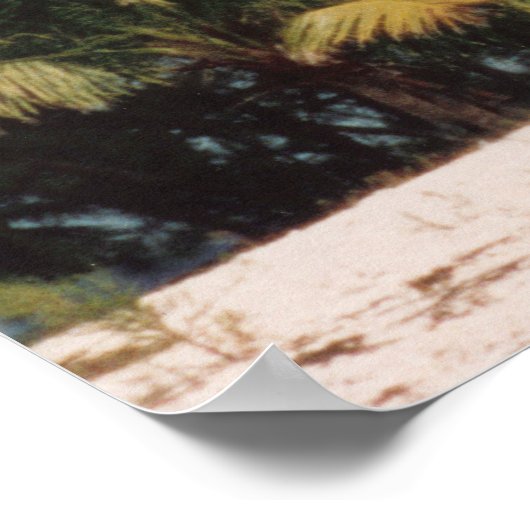 Key West Florida met Palms Poster (Hoek)