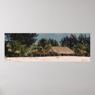 Key West Florida met Palms Poster