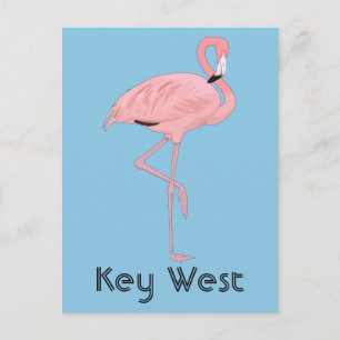 Key West Florida Pink Flamingo Briefkaart