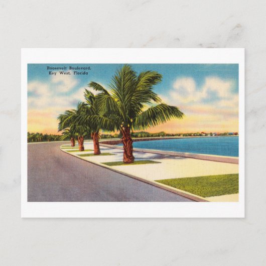  Key West Florida Roosevelt Blvd Briefkaart (Voorkant)