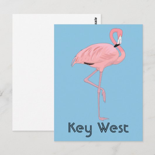 Key West Florida Roze Flamingo Briefkaart (Voorkant / Achterkant)