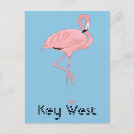 Key West Florida Roze Flamingo Briefkaart