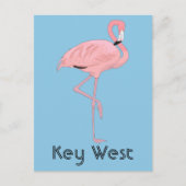 Key West Florida Roze Flamingo Briefkaart (Voorkant)