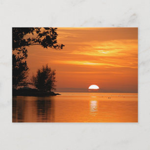 Key West Florida Sunset Briefkaart