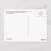 Key West Florida Tiki Zee Uitzicht Briefkaart (Achterkant)