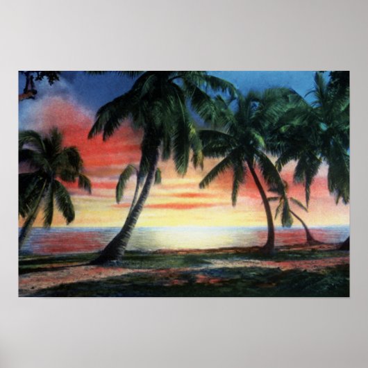 Key West Florida Tropical Sunset Poster (Voorkant)