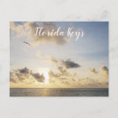 Key West Golden Sunset met vogelvlucht Briefkaart (Voorkant)