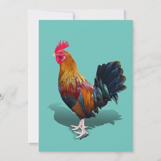 Key West - Gypsy Rooster Bedankkaart (Voorkant)