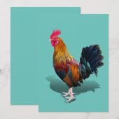 Key West - Gypsy Rooster Bedankkaart (Voorkant / Achterkant)