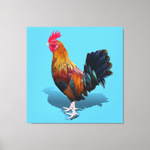 Key West - Gypsy Rooster Canvas Afdruk