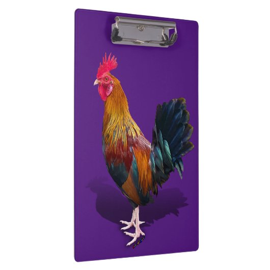 Key West - Gypsy Rooster Klembord (Rechts)