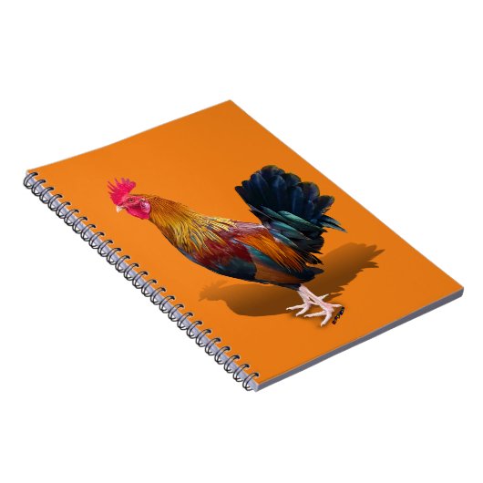 Key West - Gypsy Rooster Notitieboek (Rechterzijde)