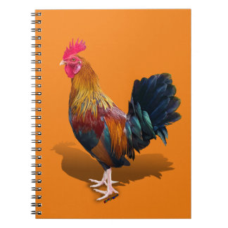 Key West - Gypsy Rooster Notitieboek