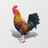 Key West - Gypsy Rooster Raamsticker (Vel)