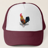 Key West - Gypsy Rooster Trucker Pet (Voorkant)