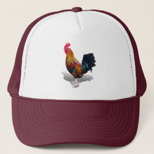 Key West - Gypsy Rooster Trucker Pet