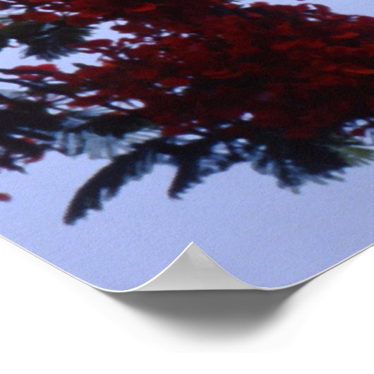 Key West Lighthouse Poster (Hoek)