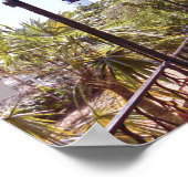 Key West Lighthouse Uitzicht uit Hemingway House Poster (Hoek)