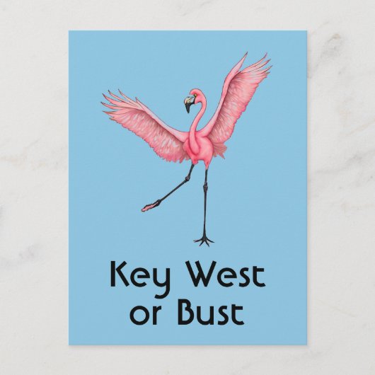 Key West of Bust Grappig Florida Roze Flamingo Briefkaart (Voorkant)