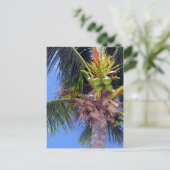 Key West Palm - Briefkaart (Staand voorkant)