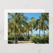 Key West Palm Trees Briefkaart (Voorkant / Achterkant)