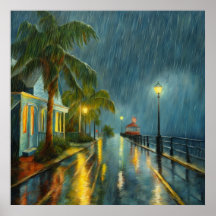 Key West Regen - 3 -