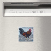 Key West Rooster Magneet (Insitu (Vaatwasser))