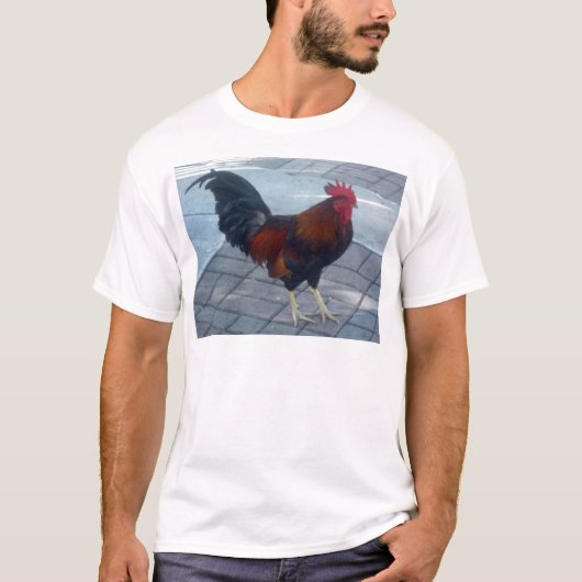 Key West Rooster T-shirt (Voorkant)