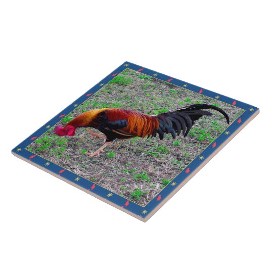 Key West Rooster Tegeltje (Zijkant)