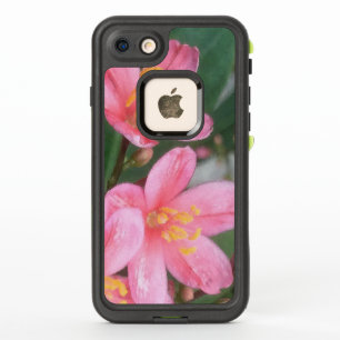 Key West Roze Bloemen
