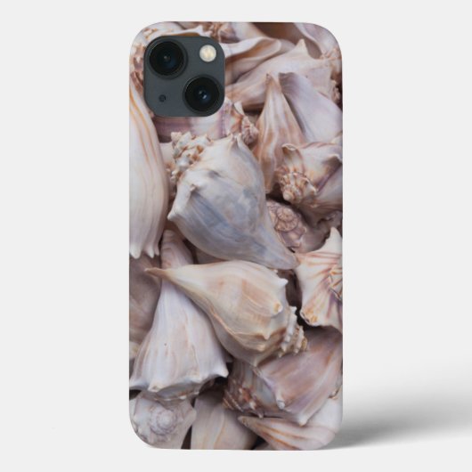 Key West, schelpen Case-Mate iPhone Case (Achterkant)