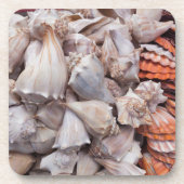 Key West, seizoenshells Drankjes Onderzetter (Voorkant)