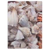 Key West, seizoenshells Klembord (Achterkant)