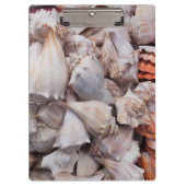 Key West, seizoenshells Klembord (Voorkant)