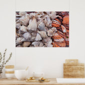 Key West, seizoenshells Poster (Keuken)