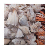 Key West, seizoenshells Tegeltje (Voorkant)