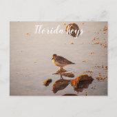 Key West Shorebird Reflectie Florida Keys Briefkaart (Voorkant)